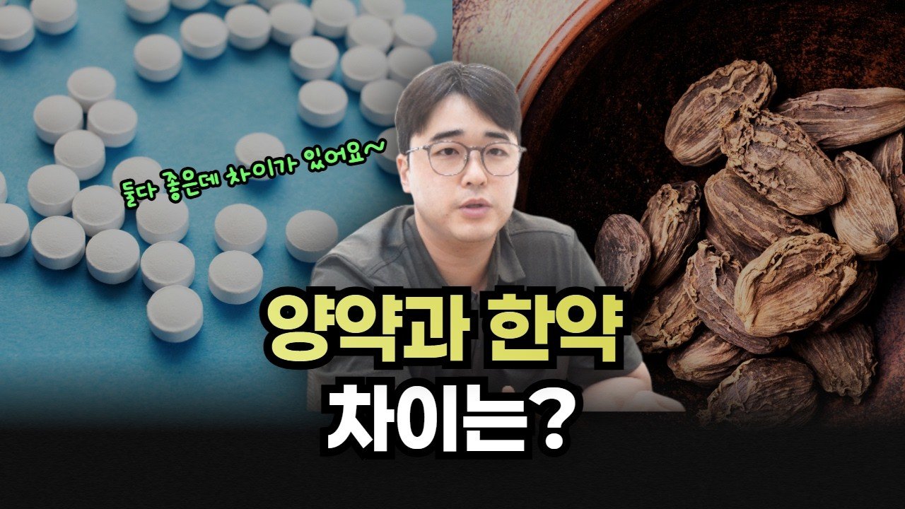 양약을 먹어야 할까, 한약을 먹어야 할까 영상 칼럼